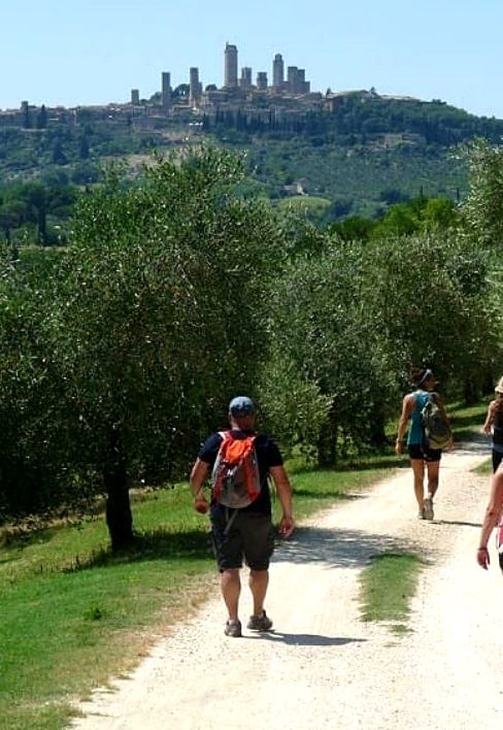 Escursione a piedi con San Gimignano sullo sfondo
