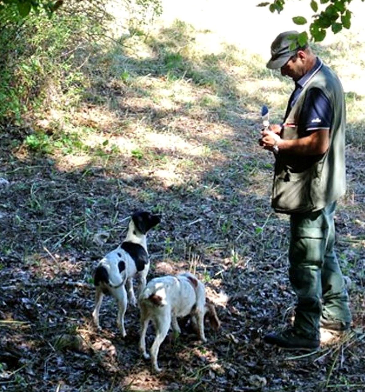 Tartufaio con i suoi cani nel bosco