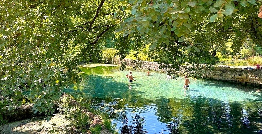 Pozza d'acqua termale tra gli alberi