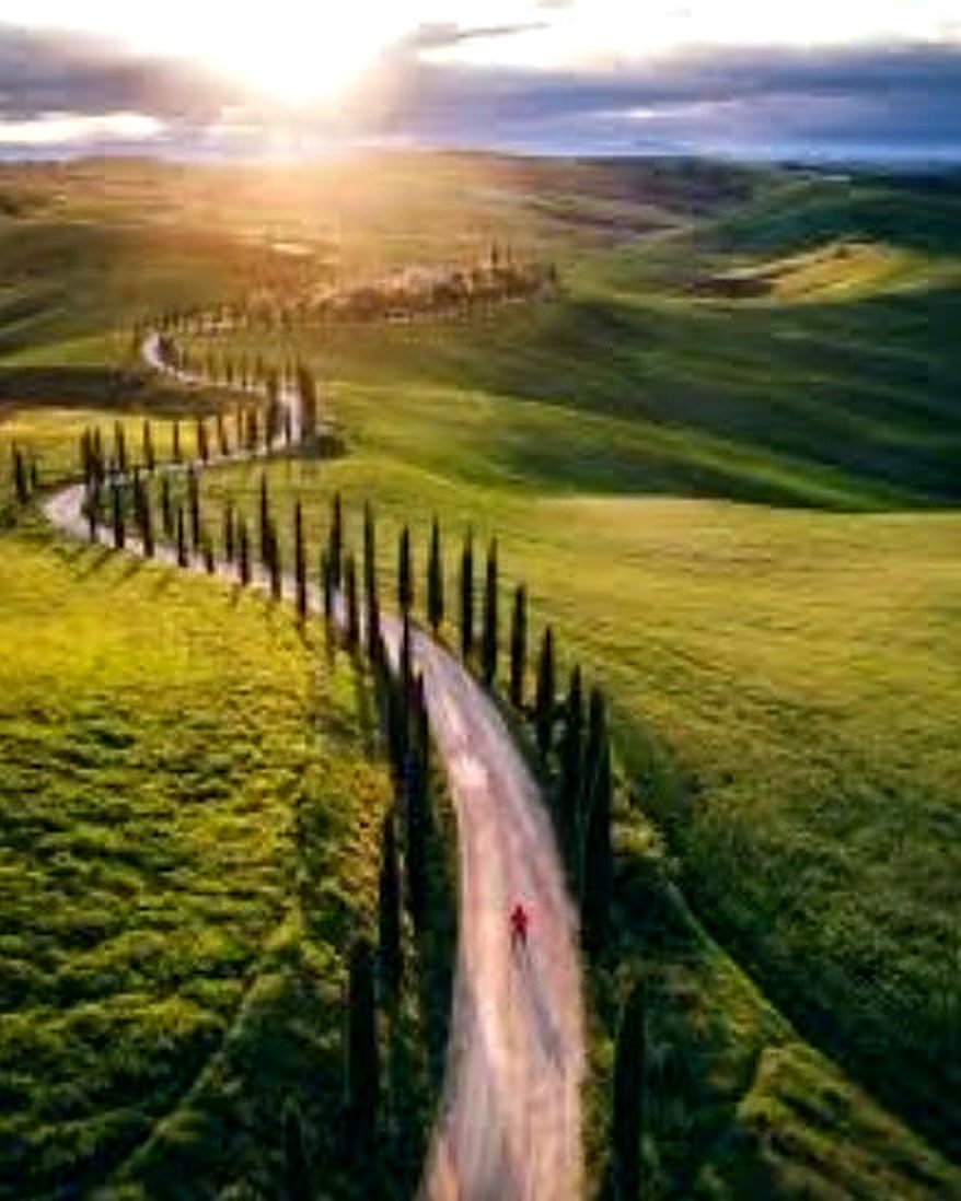 Strada con cipressi tra le colline